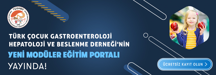 Modül Format